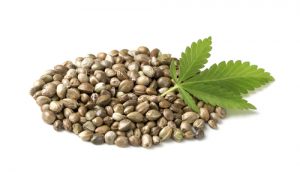Hemp Butter